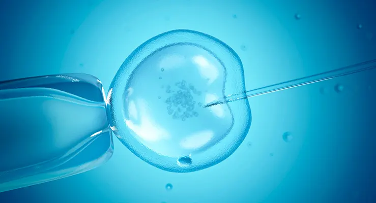 Mitos e verdades sobre a inseminação artificial