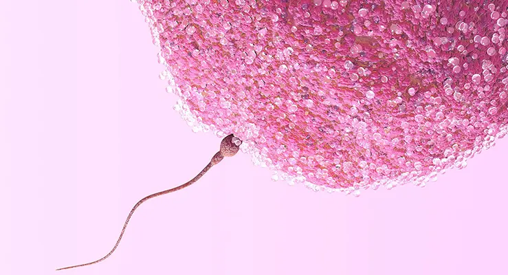 Quando é hora de procurar uma ginecologista especialista em fertilidade?